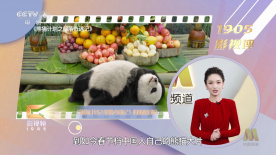 精品欧美一区二区三区四区